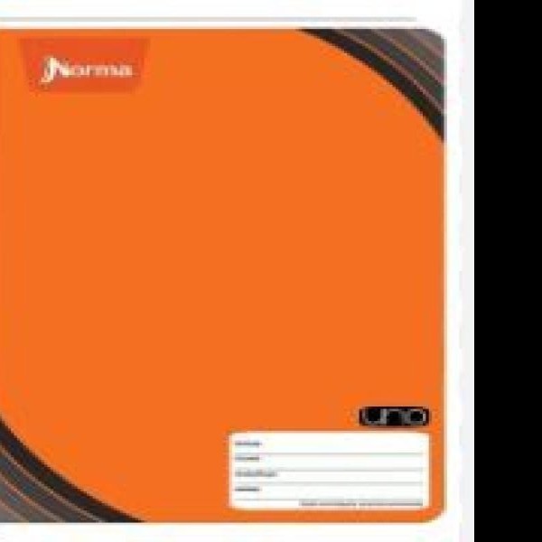 CUADERNO PROF. COSIDO UNO 582882 C5 100H PZA